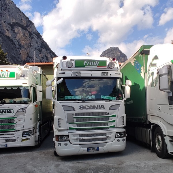 Frioli Trasporti | Azienda