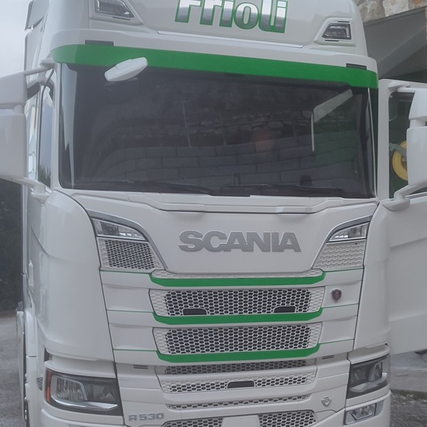 Frioli Trasporti | Azienda